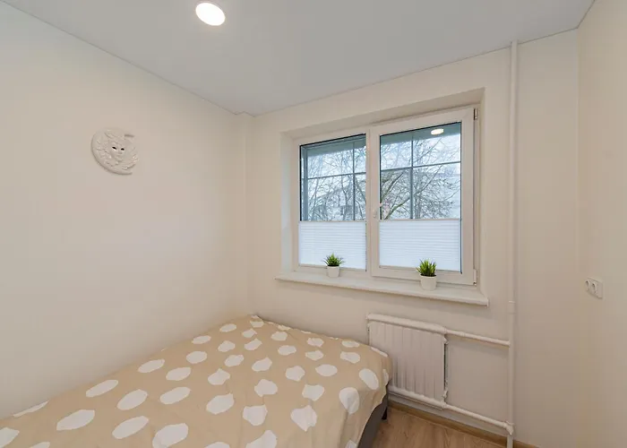 Luminious With Balcony By Polo * Kaunas