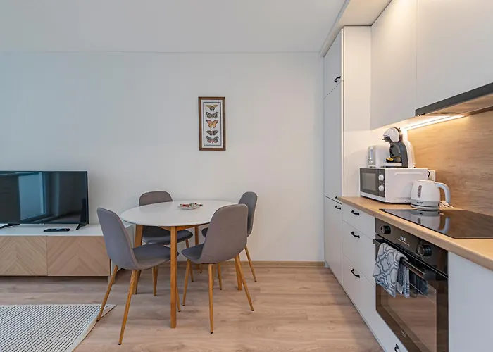 Luminious With Balcony By Polo Kaunas